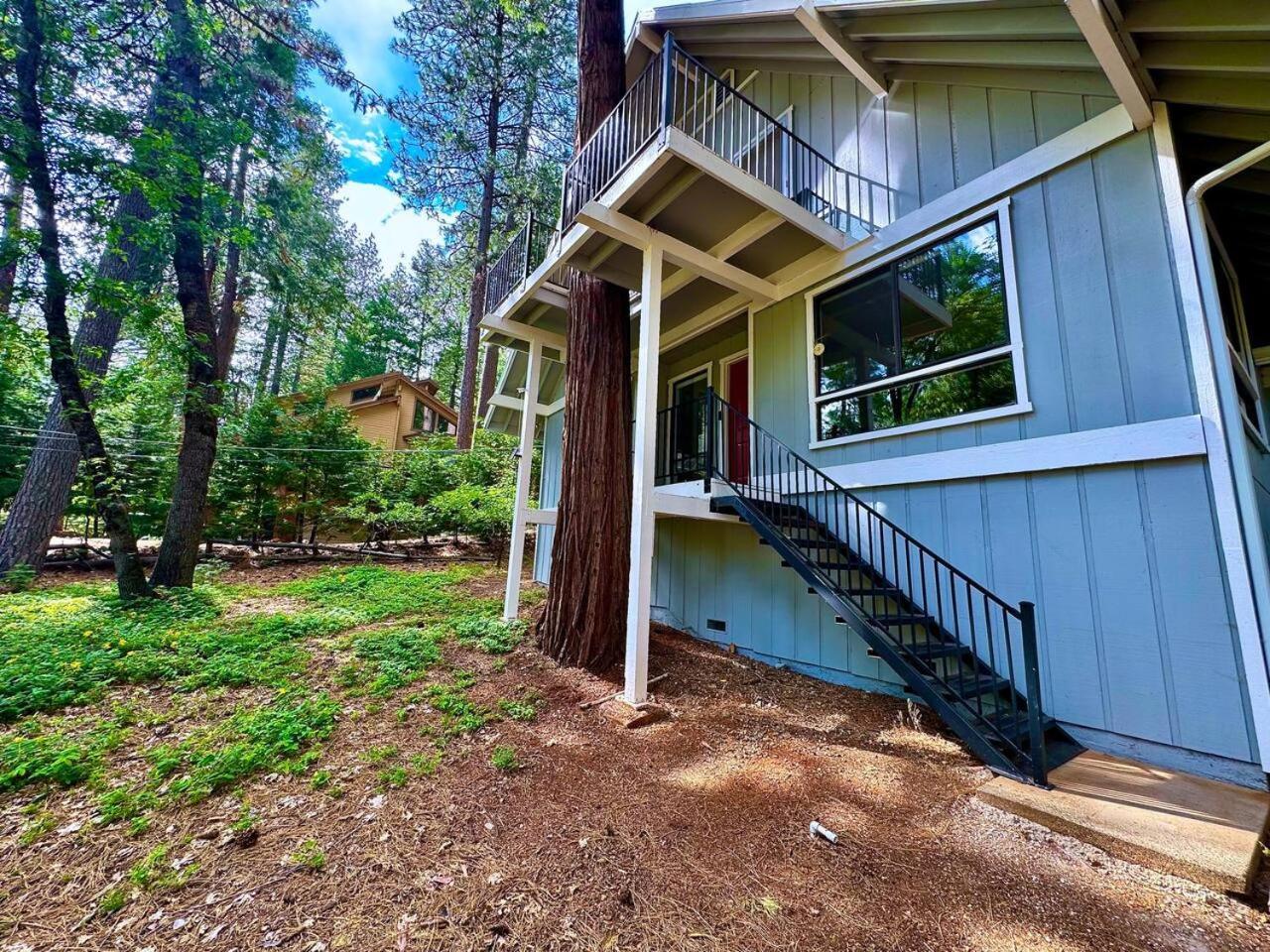 Pollock Pines Cabin In The Trees-Game Room מראה חיצוני תמונה