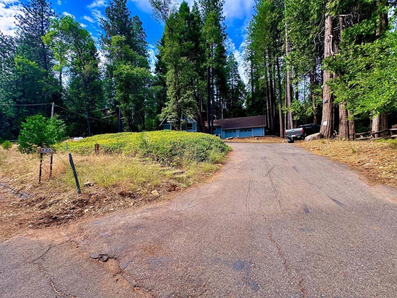 Pollock Pines Cabin In The Trees-Game Room מראה חיצוני תמונה
