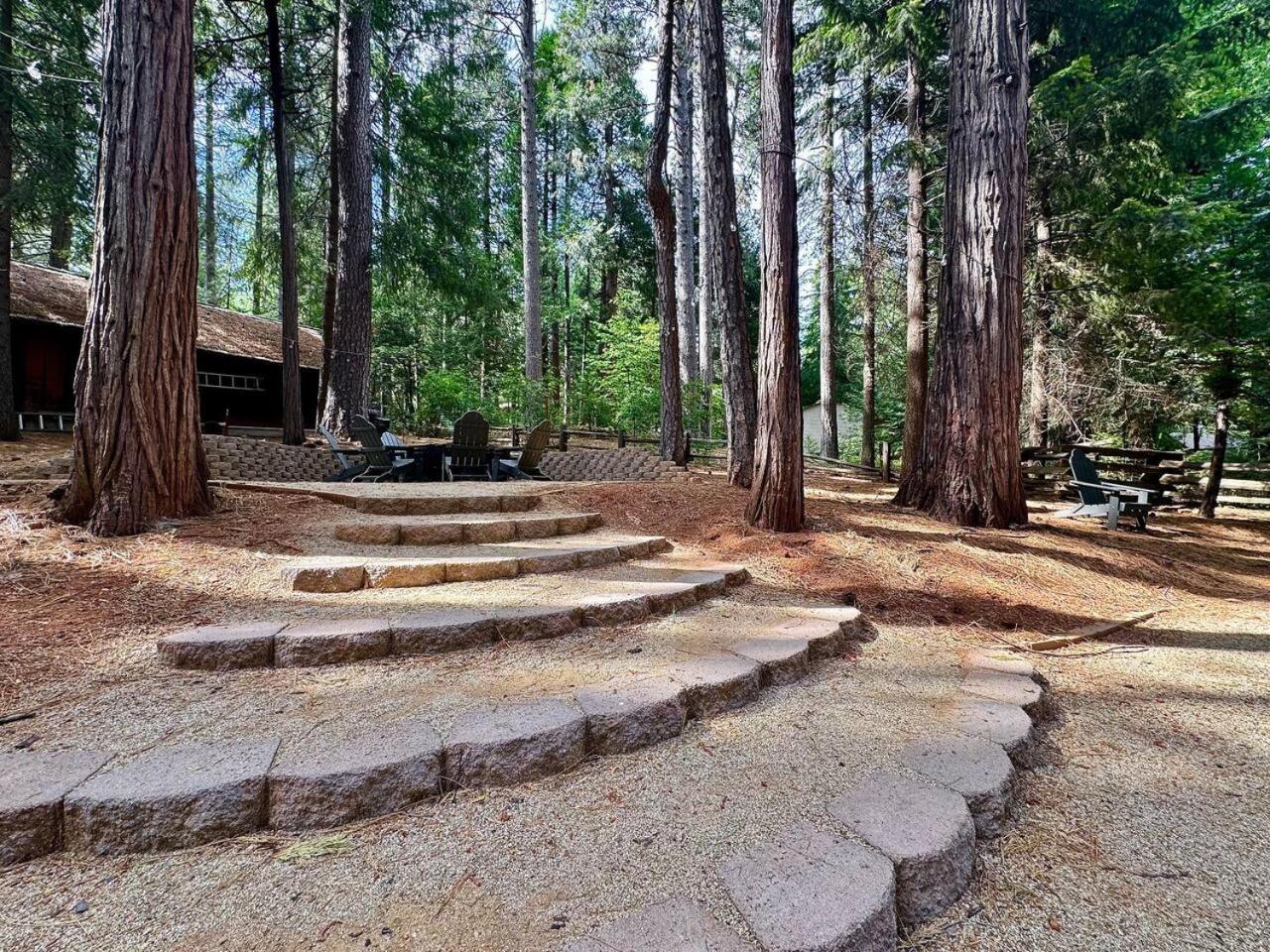 Pollock Pines Cabin In The Trees-Game Room מראה חיצוני תמונה