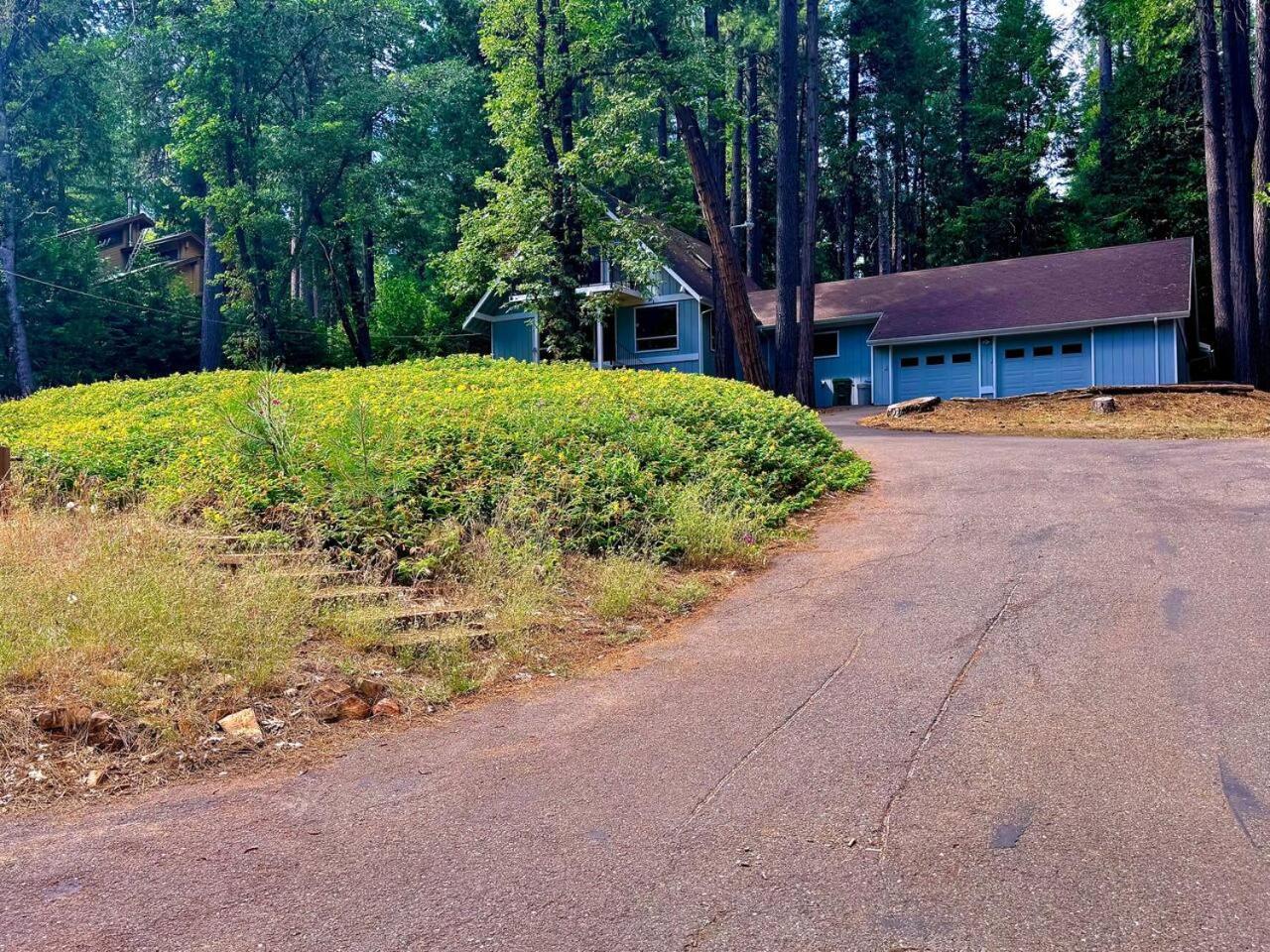 Pollock Pines Cabin In The Trees-Game Room מראה חיצוני תמונה