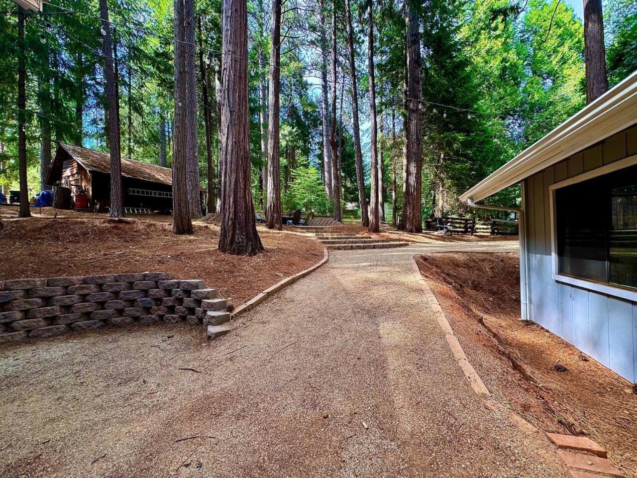 Pollock Pines Cabin In The Trees-Game Room מראה חיצוני תמונה