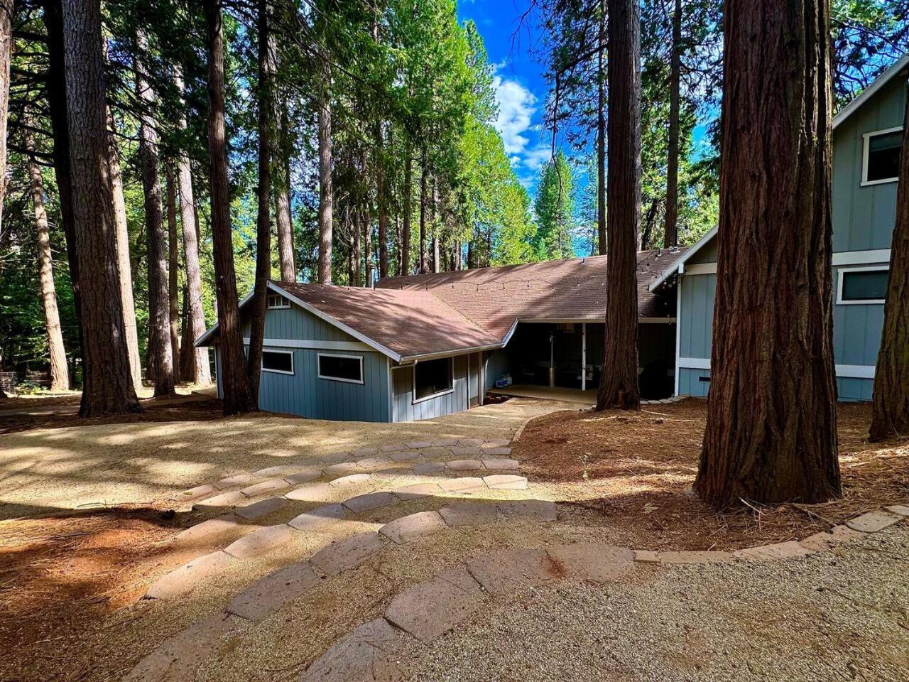 Pollock Pines Cabin In The Trees-Game Room מראה חיצוני תמונה