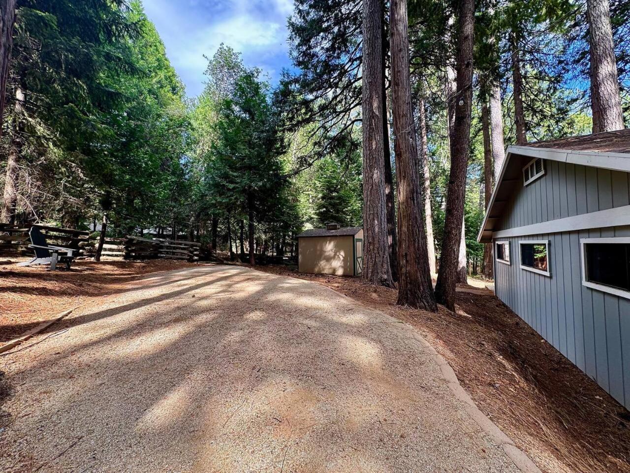 Pollock Pines Cabin In The Trees-Game Room מראה חיצוני תמונה