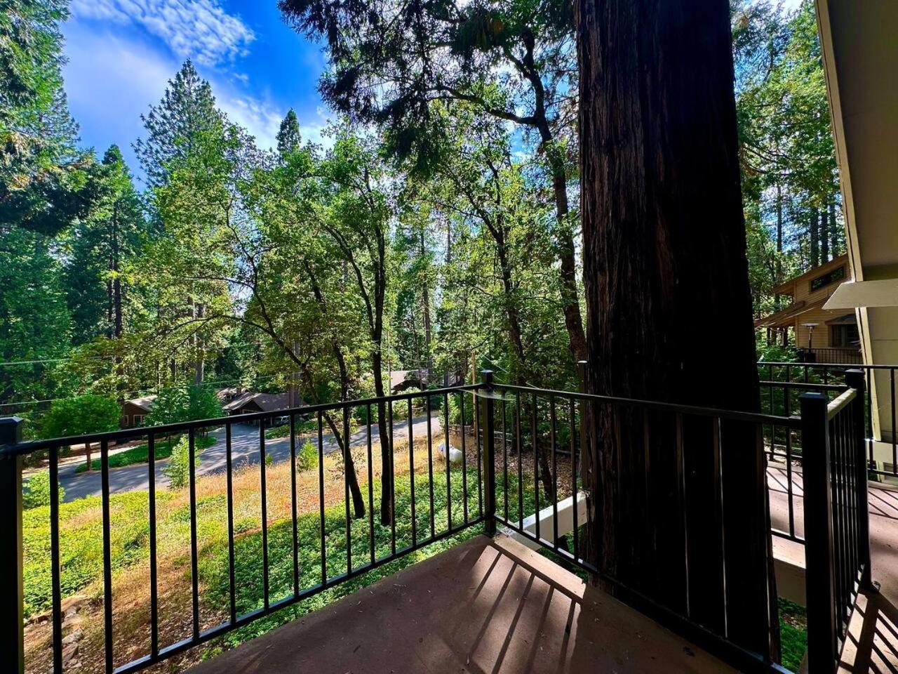 Pollock Pines Cabin In The Trees-Game Room מראה חיצוני תמונה